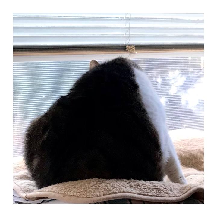 0b652645 2a32 4b03 acb8 52962bf97b88 1642810278284