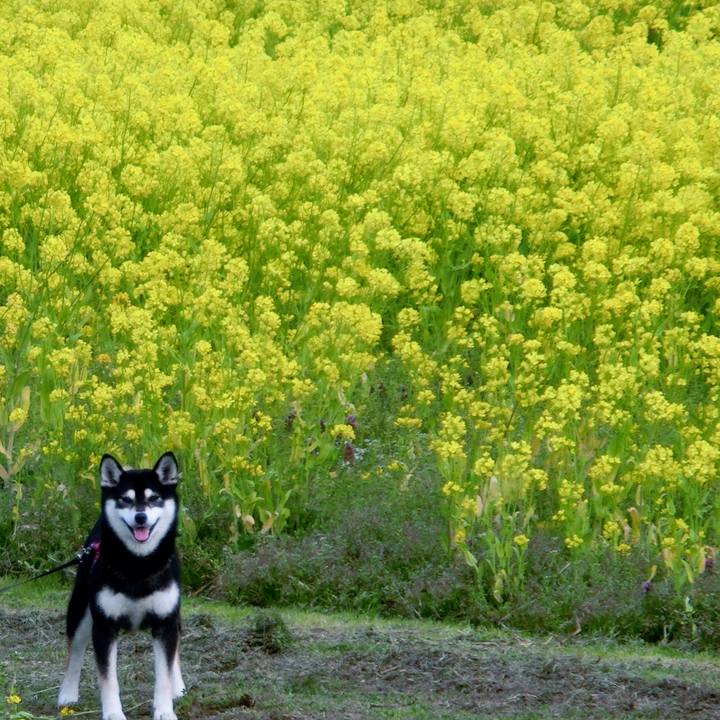 0b655dba 0ce1 459c 9d82 88fc2dcf1c85 1524217562364