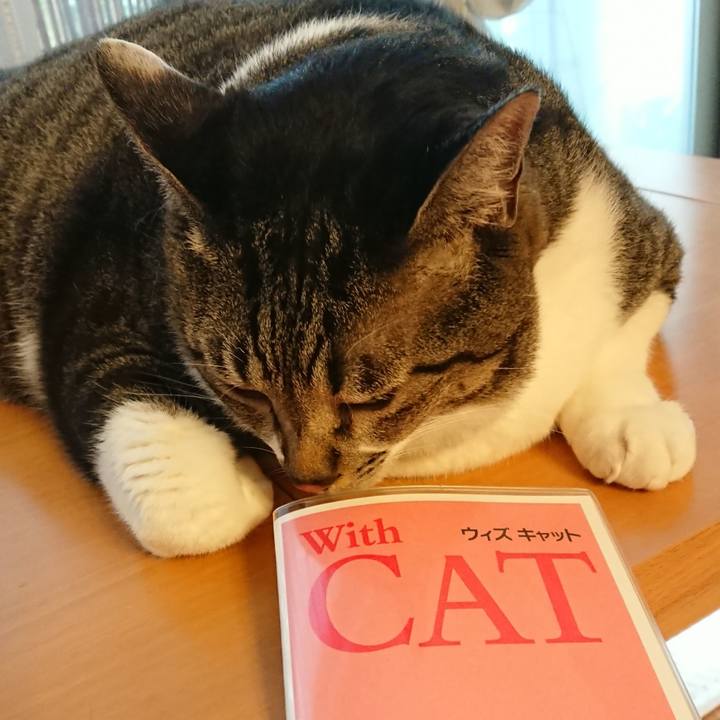 0b656219 9530 4263 944c 9f37a4b00501 1536989726209