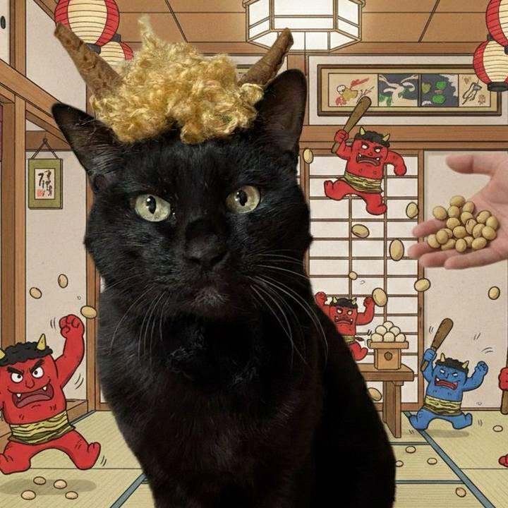 0b659687 6d7d 4769 adc4 1ff341b44090 1770071014120