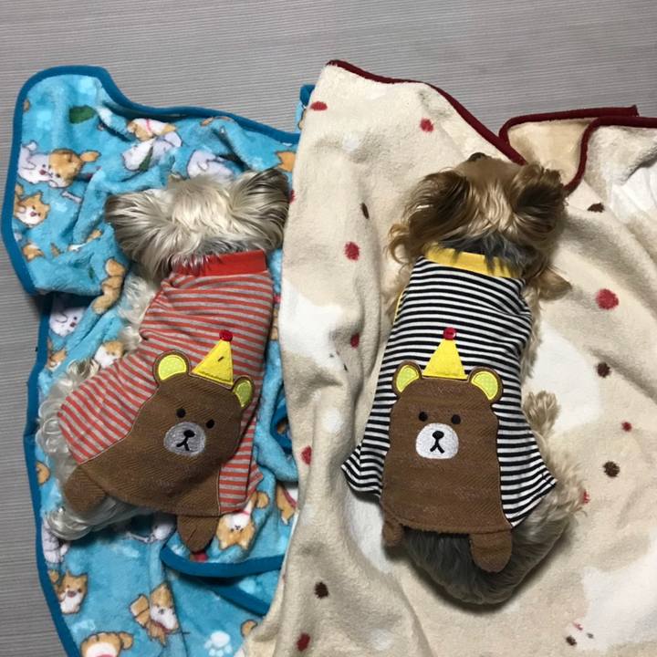 0b65ebed bed0 45ea 8fae 2f721c80a8a3 1572058243031