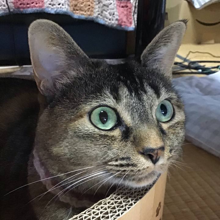 0b66011b 861e 4739 b555 d0346d0afafb 1721807316257