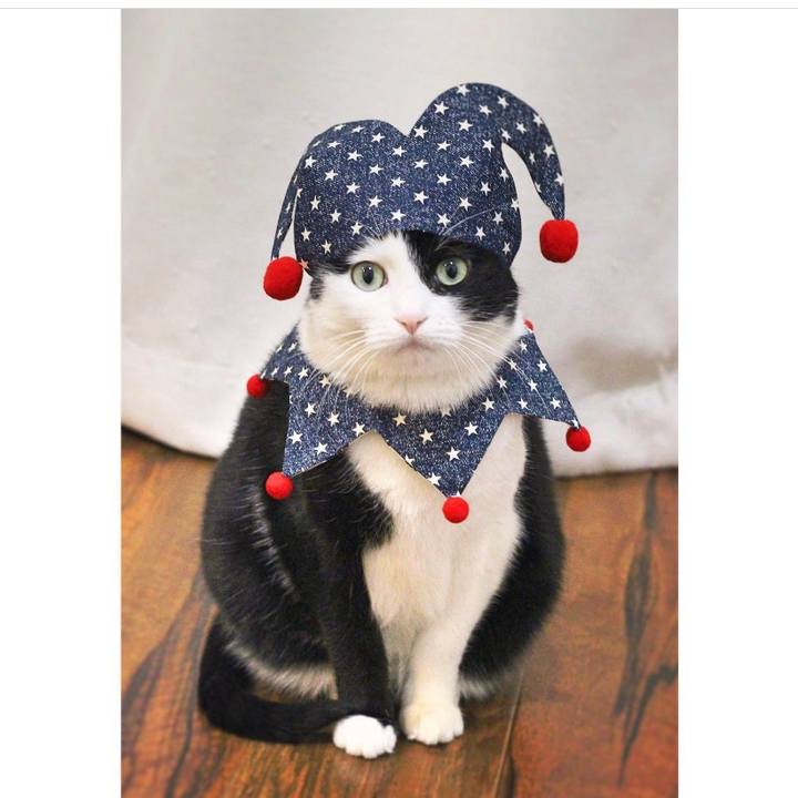 0b660e13 a0c3 440e 999c 028ac4279231 1591361513425