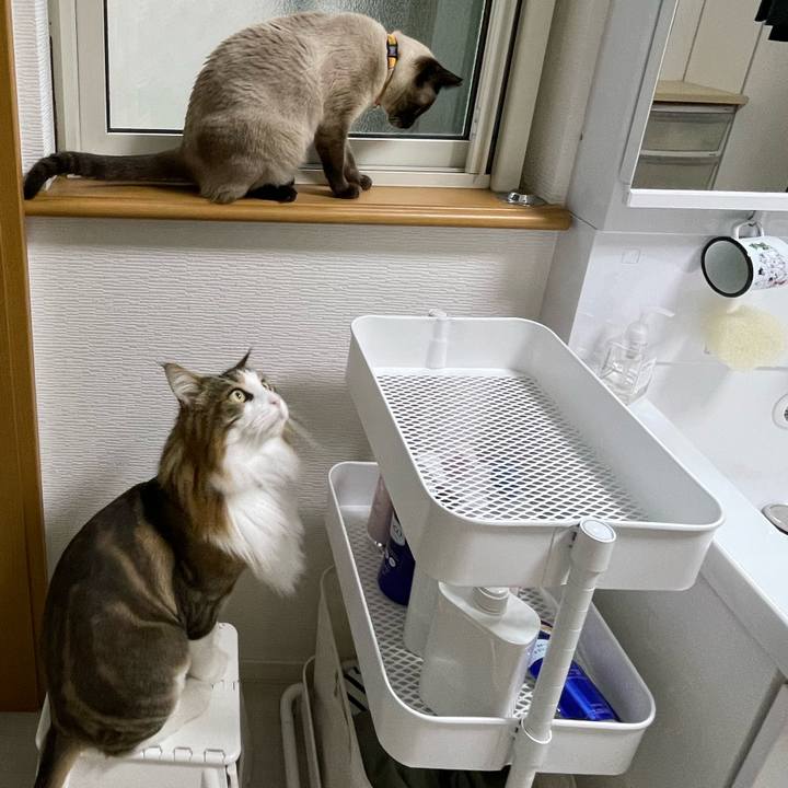 0b661950 37b1 435f adc2 5a5ac53d9dc4 1722026902273