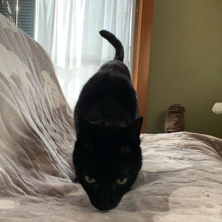 0b6625c0 cc84 4e1a 91f5 e9406eaee032 1574991122038