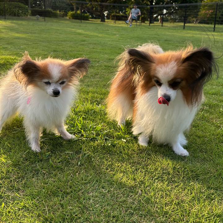 0b664358 0d36 4ae0 a7f3 2051b71dd8e8 1756893029237