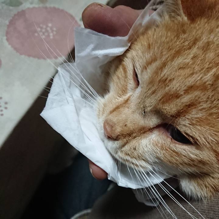 0b666591 c489 4595 816a bc56378dd424 1580243860902