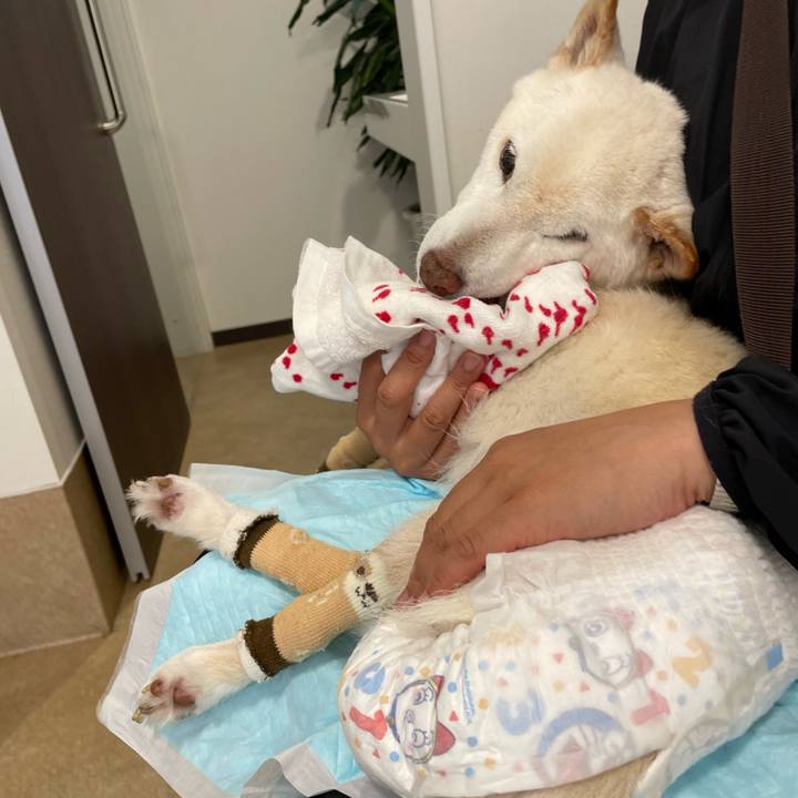 0b667595 eba7 4318 a829 fd321ac61fb0 1685473186066