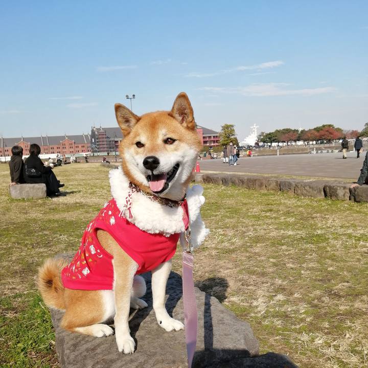 0b668dc7 ca26 451a 82eb 8673a420d667 1639359233123