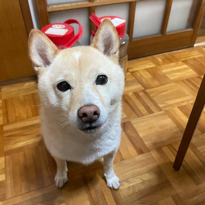 0b66979a a45a 40d0 8bf8 52bce13cec39 1664793992275