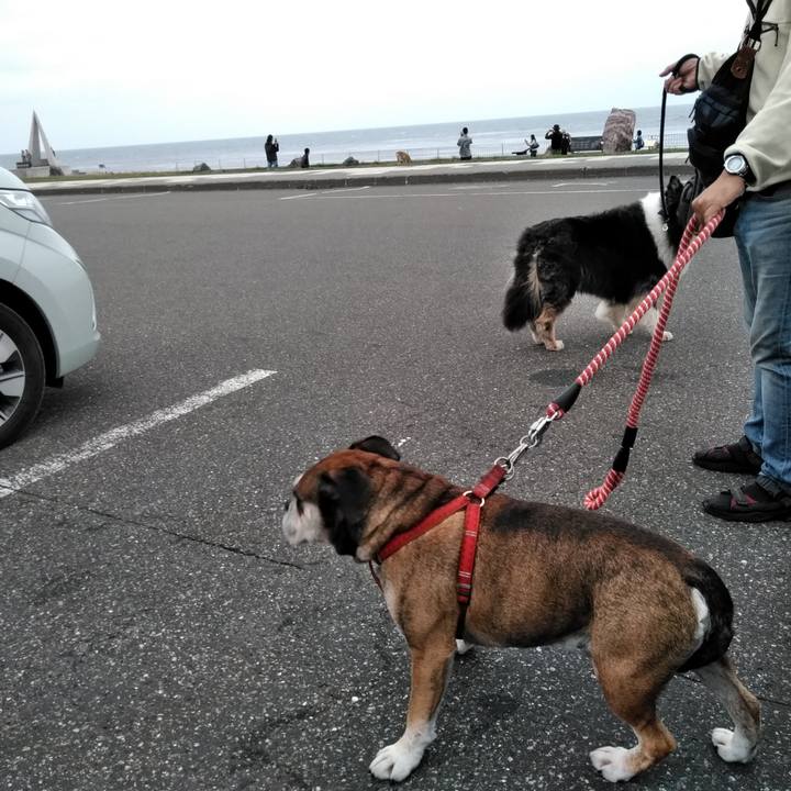 0b66bf81 b3d7 45ef 8acc ef5fe53d248c 1565621301025