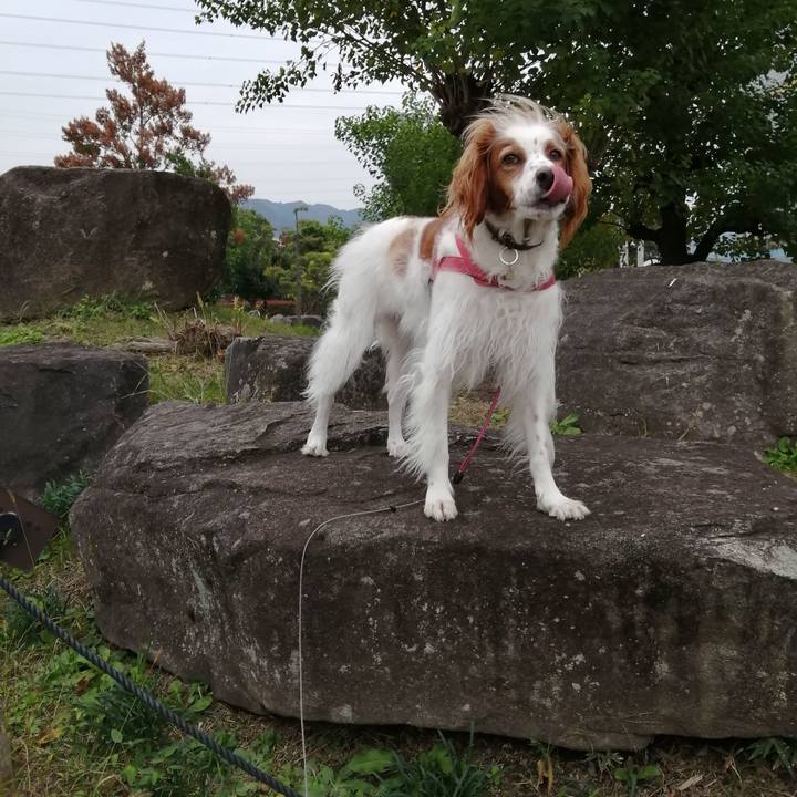 0b66e29e 64f6 47ab b5a5 ade9b86ccf83 1603884141507