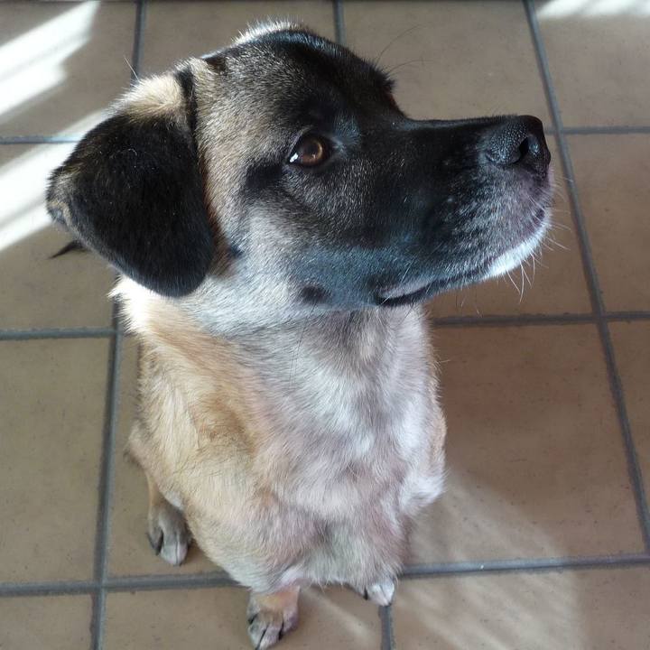 0b66e560 1879 4c1a 8465 9da2e45faeb1 1576546970713