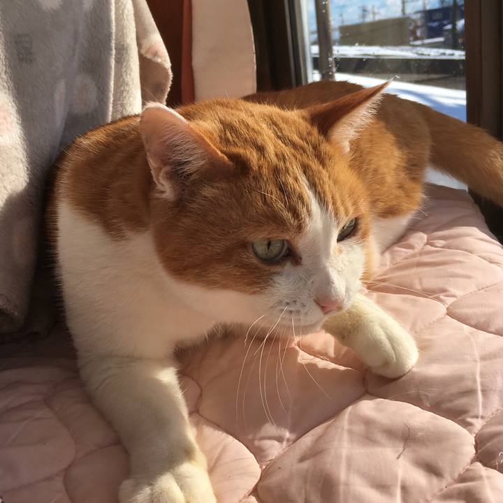 0b66f904 6760 443b a6de 4e1e33420bd3 1608524496269