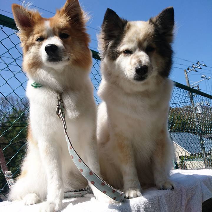 0b675f02 47f6 46da ad8e fe04f35da412 1615892726136