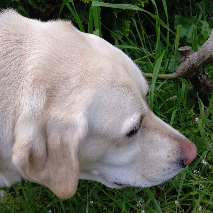 0b67b2c8 c81d 4e22 a2af 9998ab62dea4 1587705328908