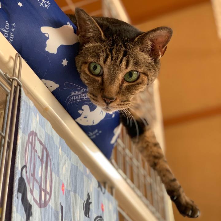 0b67b4d4 54eb 4a38 8e75 f1313e628c01 1568596087883