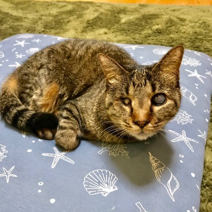 0b67cca7 731b 4bef 883b 93bf7f5c7ca0 1559906929259