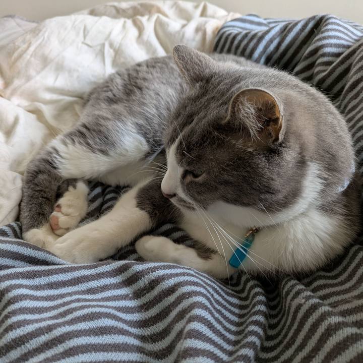 0b67e247 1435 411d a92b 089ed6b7c41d 1743299328761