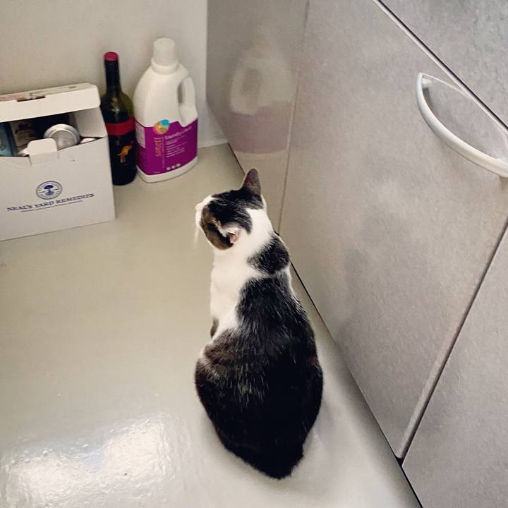 0b67ffb4 7141 4a4f 9f05 fa24c0c2872e 1597467202320