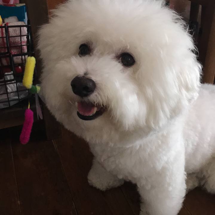 0b689306 b988 43be 9eb7 d4de616b4d97 1529909591626