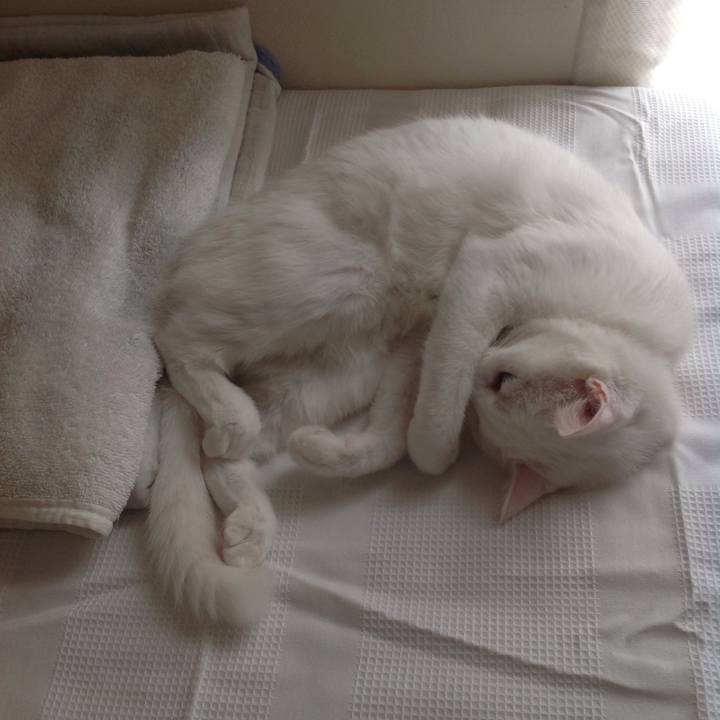 0b68a9ab 38f7 4dee 9034 afc98ca0bb79 1629789692383