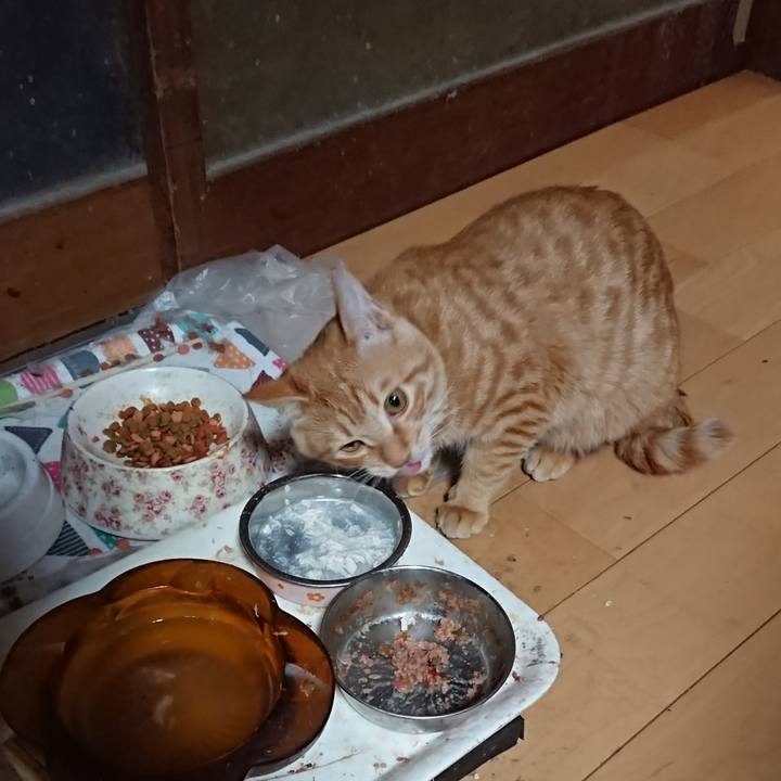 0b690490 cf58 4547 bf45 4612381f0c9c 1637144478218