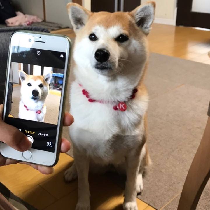 0b694b48 6f48 4404 8d63 8bb6c376565d 1553164275754