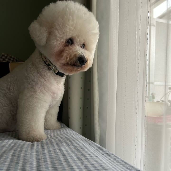 0b69862b f77e 4faa bb72 119cfb62c4c2 1761347126242