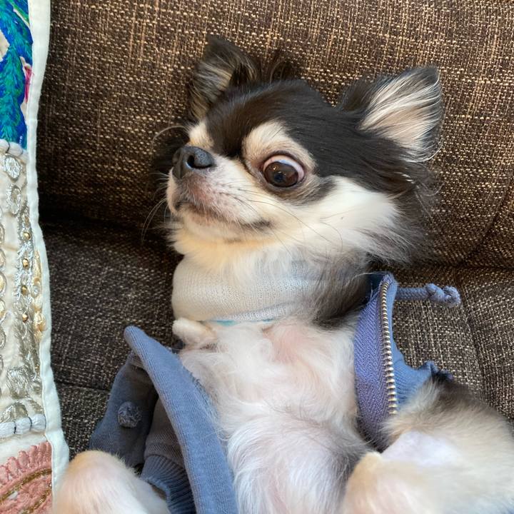 0b69d9d1 49cb 497e bbd1 99f5cd6ca81f 1711210576429