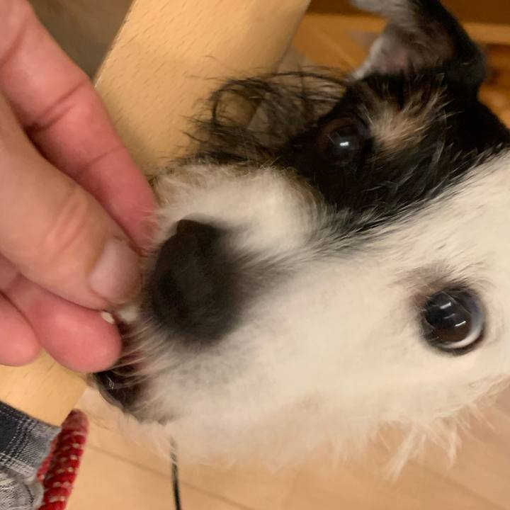 0b69e9cd afb0 430c 8bc9 f8deac4a76b2 1719832008009