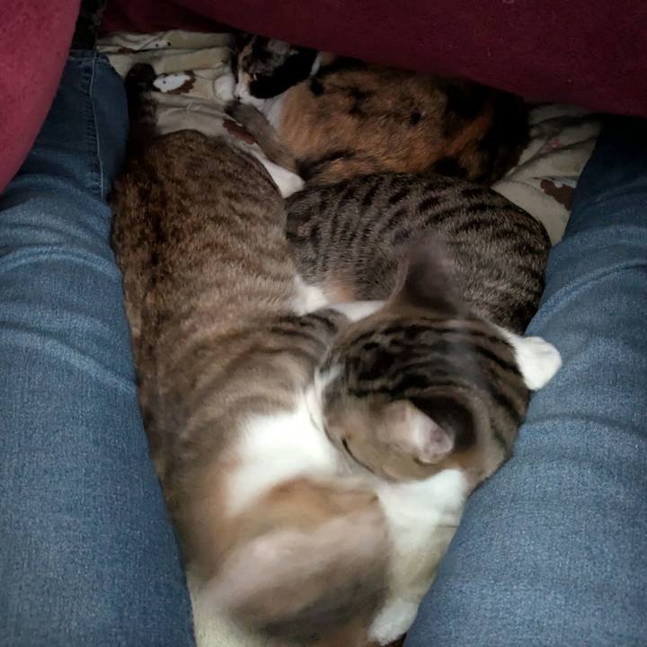 0b69fd4a 88d5 489a 9daa f7a1dd2d91ab 1736418738313