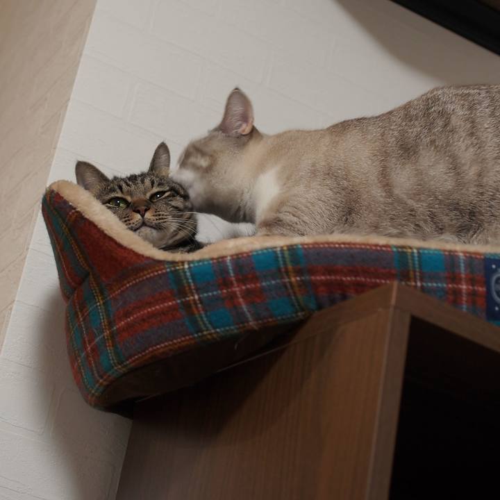 0b69fe76 8684 4cf0 bab4 113b64268113 1543671203454