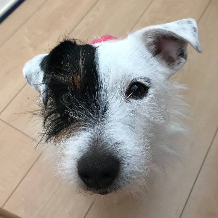 0b6a003a d06f 42b8 a8c7 48af196b4e49 1517178032392