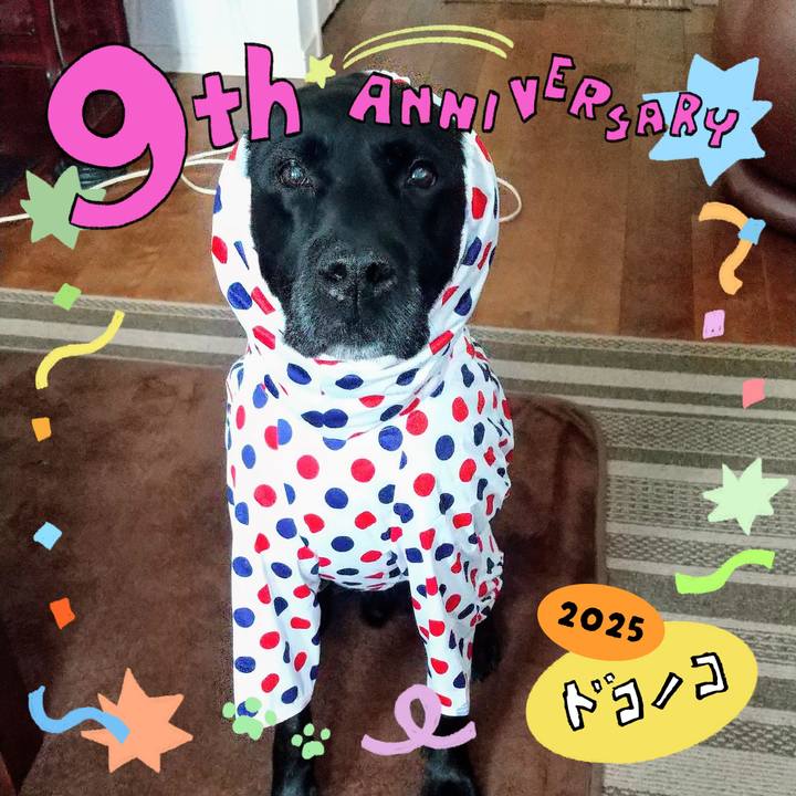 0b6a3140 01b7 4269 8ce5 cf1adc672a78 1749353332202