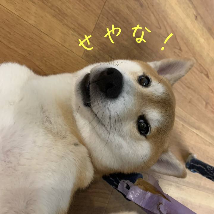 0b6a48a1 aaa8 494e be68 b1294786083f 1603923647935