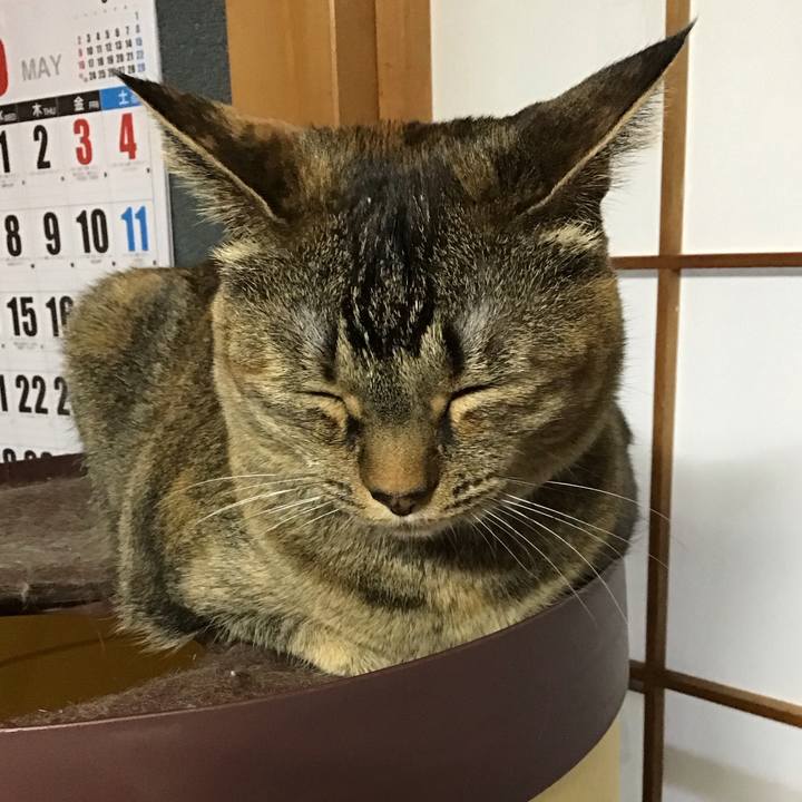 0b6a4f05 e535 4b6b 82e0 ec13ccd7e154 1715586621750