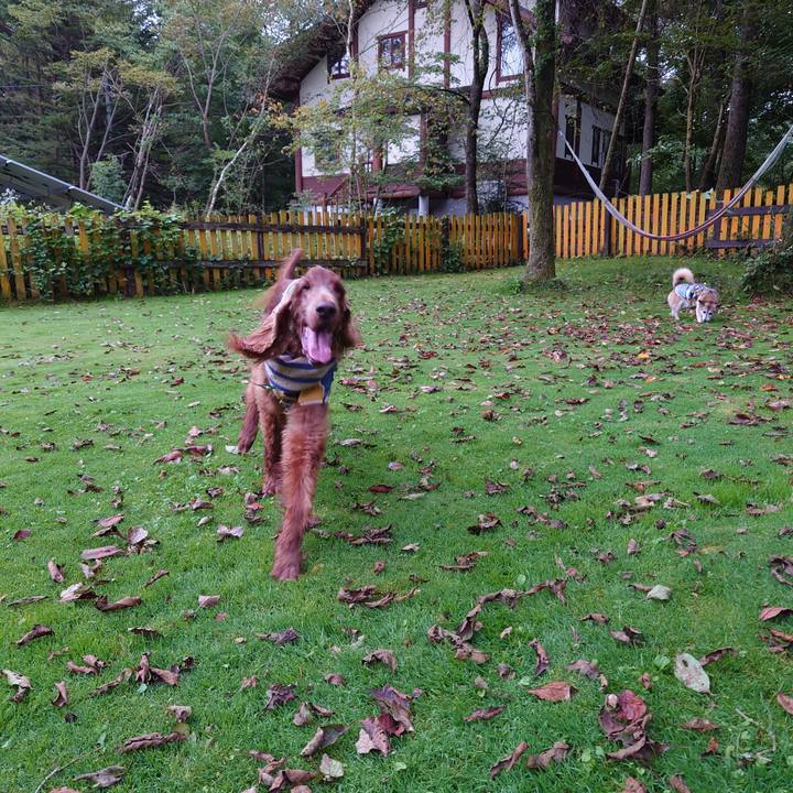 0b6a5258 5090 4326 b96b 0b7ec2b7f590 1632304237926