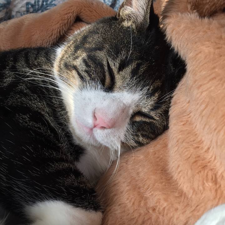 0b6a5e9e 9268 4953 8f18 a2f828c90535 1516422879664