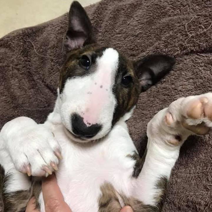 0b6a65c1 7503 489d 89b1 ad1e771344d9 1549518439667