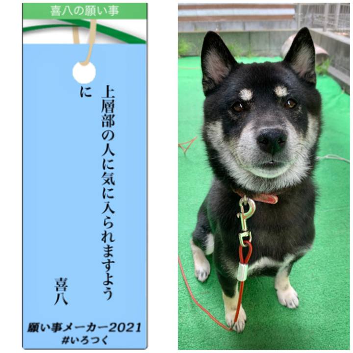 0b6a9299 0380 4c50 a327 ccd04f76371c 1625634800272