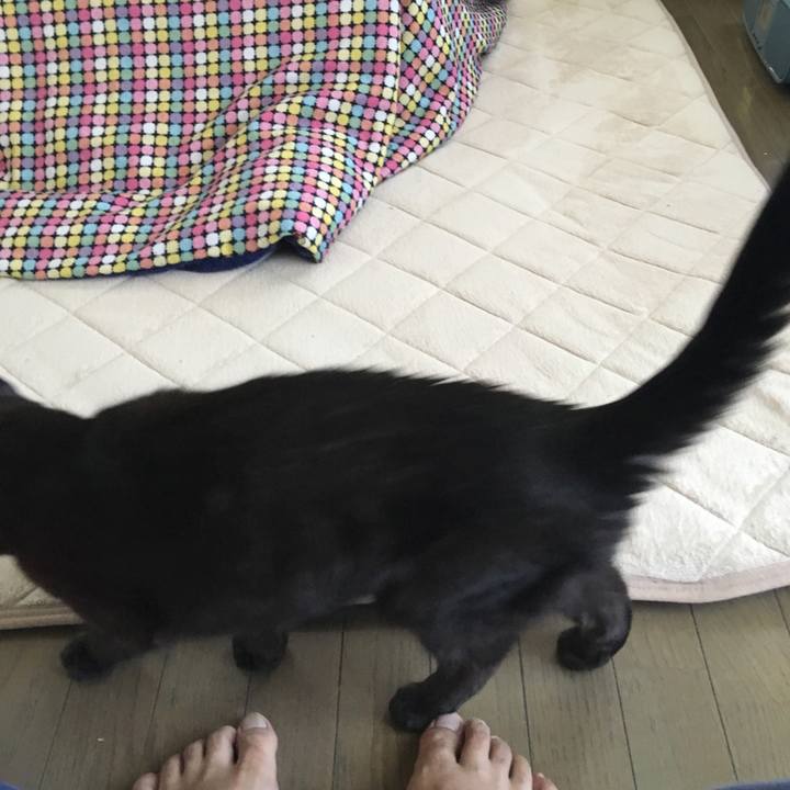 0b6abcef 5fcd 4e08 a090 e0f90b00604b 1524872367221