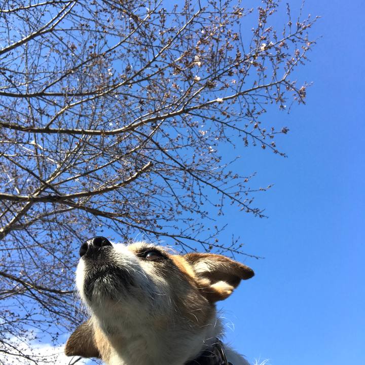 0b6ac4e4 e84c 4917 a22d 5a427b27672d 1584255833841