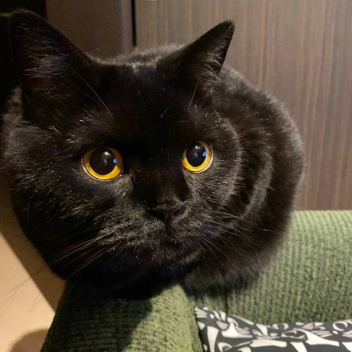 0b6acdf7 0479 48cf 90dc 657a3d07e064 1624019400032