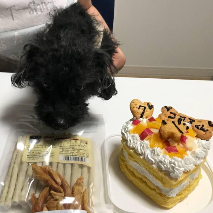 0b6ae804 d0ab 4c8d 85f4 20bdf973d660 1526131705215