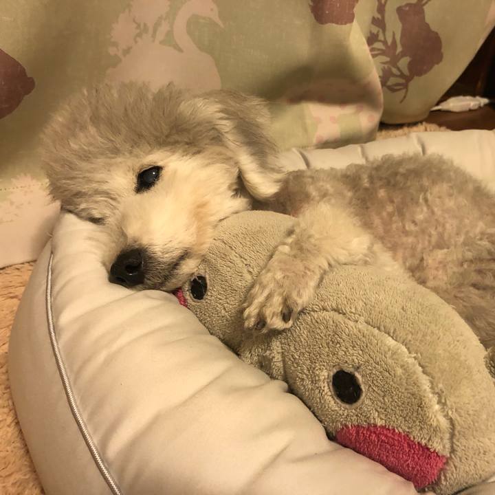 0b6aecd2 d23b 42ff 8340 d922edca6564 1622608857299