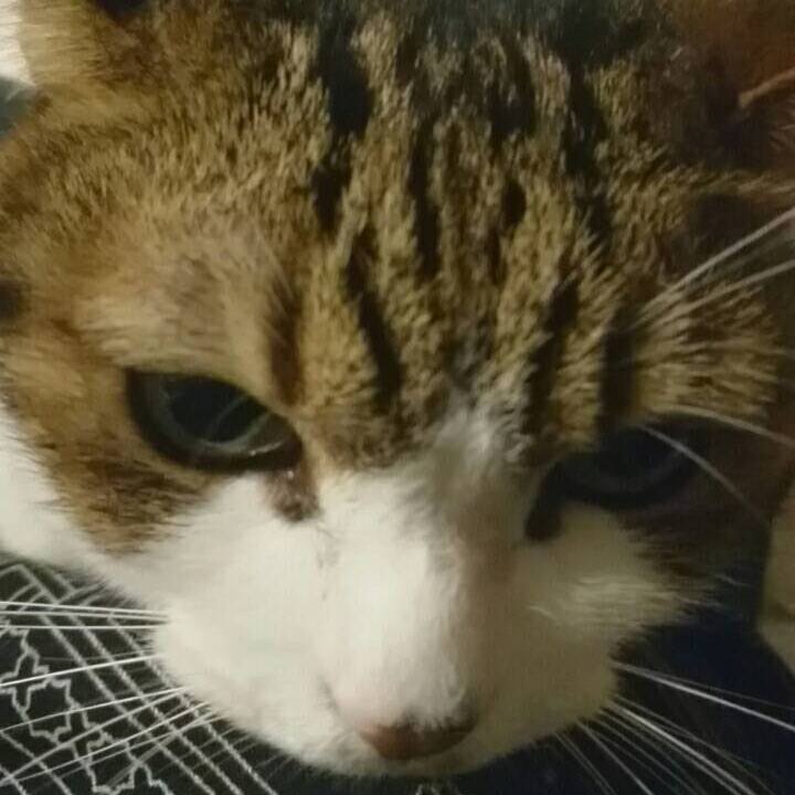 0b6af71b 6819 4050 b9e0 23d04903de98 1553085547735