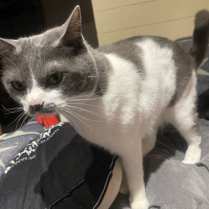 0b6b38bc e3c4 4e3f 97bc c119e81bed56 1651146833522