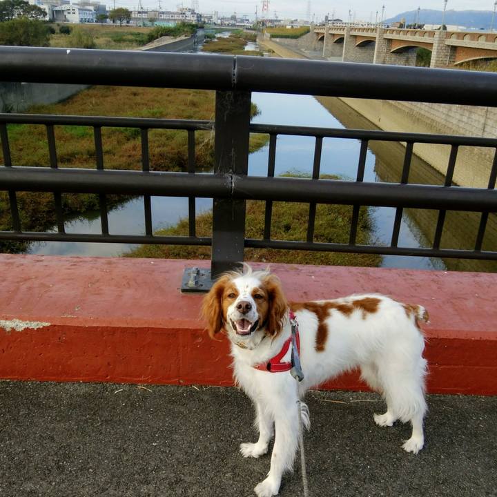 0b6b54c0 90d9 4231 83f5 1e40504909bf 1541417479869