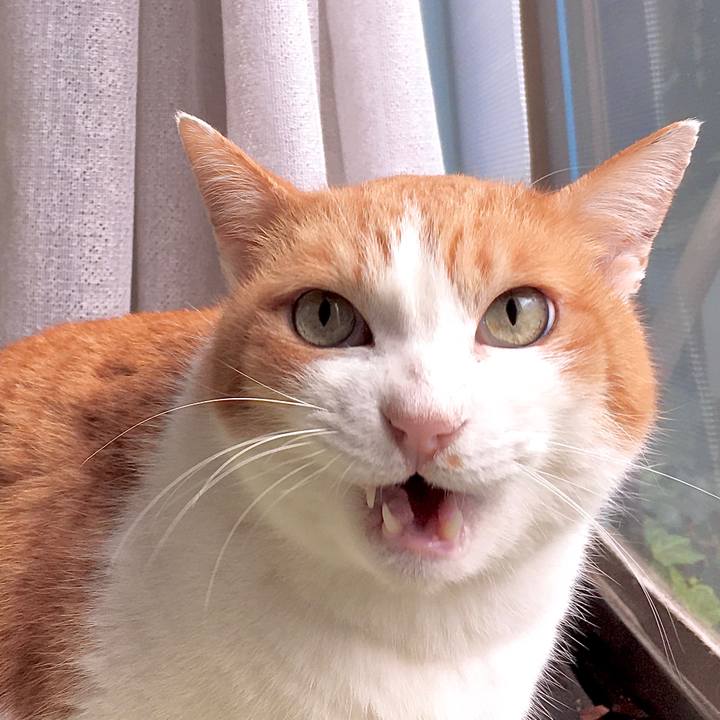 0b6b7f0b a2e6 43b9 8f90 05eac4bfeafb 1578970502299